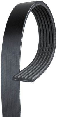 BELT WEDGE 6PK2150 GATES MULTI-RIBBED TYP: 6PK DL: 2150MM - milautoparts-fr.ukrlive.com