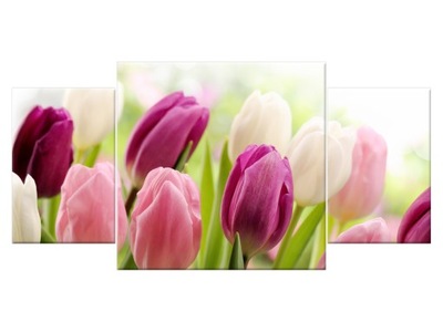 Obraz Soczyste tulipany 80x40 Kwiaty Rośliny