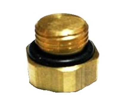 BLIND PLUG 0002 CAP MOULDINGS MATRIX VALTEK G1/8 - milautoparts-fr.ukrlive.com