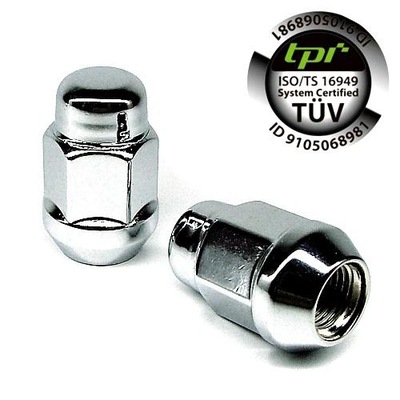 SCREWS KUTE CHROME TOYOTA FORD HYUNDAI VOLVO KIA - PREMIUM TPI TUV 20SZT - milautoparts-fr.ukrlive.com