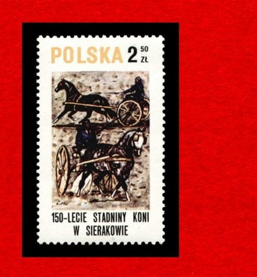 2518 zn cz** 1980 Sierakow konie