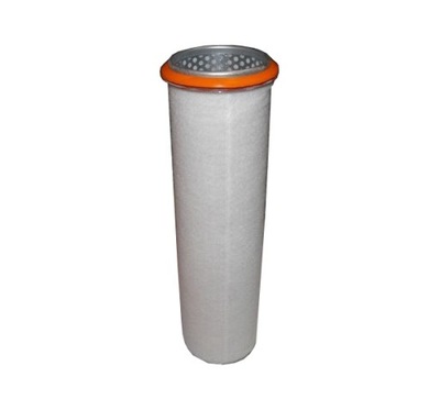 FILTER AIR DAF 95 ATI FILTRON AM420 - milautoparts-fr.ukrlive.com