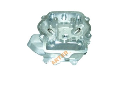 CYLINDER HEAD ZIPP INTRUDER BEYOND YH 260 ATV QUAD - milautoparts-fr.ukrlive.com