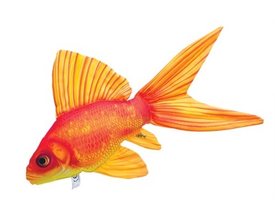 Złota rybka (carassius auratus) poduszka 60 cm