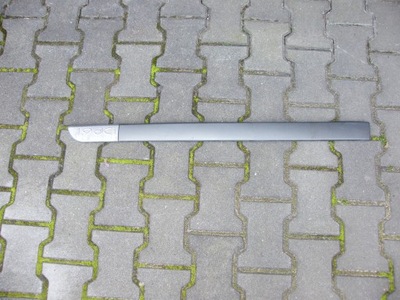 Молдинг двері лівий перед scenic ii 1,9dci фото №1