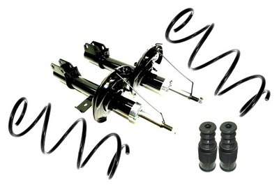 Амортизаторы пружины перед renault clio 3 modus ## фото №1