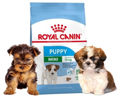 Sucha karma Royal Canin Mini Junior 8 kg