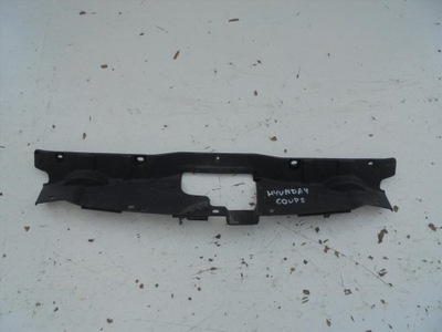 PROTECTION BELT CZOLOWEGO HYUNDAI TIBURON - milautoparts-fr.ukrlive.com