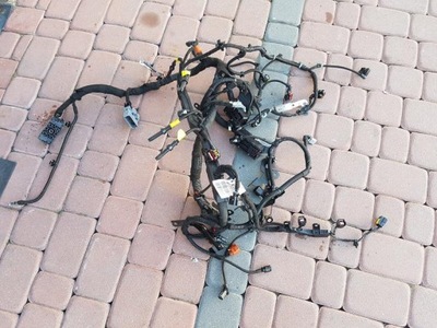 WIRE ASSEMBLY ENGINE B16DTH OPEL ASTRA J IV 13497194 - milautoparts-fr.ukrlive.com