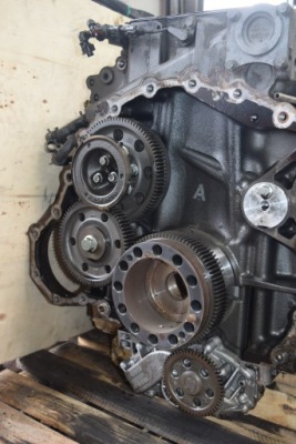 Daf cf xf 105 грм kpl колеса зубчасте розподільного валу фото №1