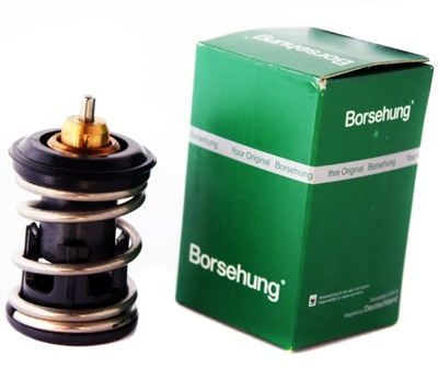 BORSEHUNG B18261 TERMOSTAT, MOYEN REFROIDISSEMENT - milautoparts-fr.ukrlive.com