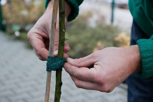 Siatka Mocna 2,4cm x 50m Taśma do Podwiązywania Wiązania Mocowania Drzew