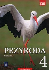 Nature 4 Справочник Гром