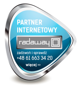 kabina RADAWAY ESPERA KDJ 110x80 PRAWA PRZEJRZYSTE