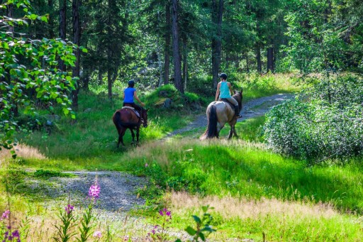 kamizelka jeździecka JOULES pikowana gruba r.S/M