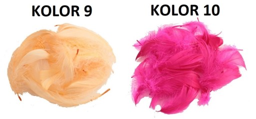 PIÓRA PIÓRKA MIX 25 SZT PIÓRO DEKORACYJNE 23xKOLOR