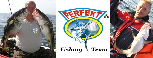 8 x DORSZ PILKER NORD CUP PERFEKT 75gr