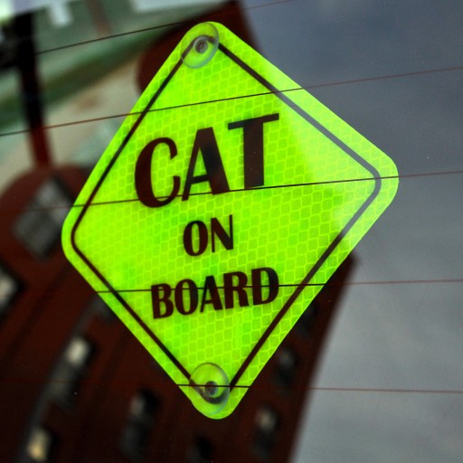 CAT ON BOARD ODBLASK NEON NA AUTO PRZYSSAWKI