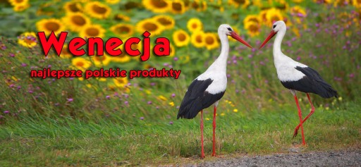 TORBA KLAPKA DUZA A4 ZW 1 KRÓWKA SZKOLNA DZIECIĘCA