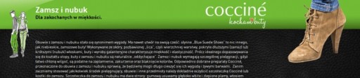 COCCINE PAINT PASTE SUEDE НУБУК ЗАМША 26 КРАСНЫЙ