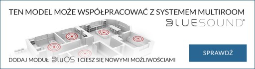 Над интегрированным усилителем C368