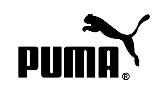 РЕМЕНЬ PUMA BMW MOTORSPORT