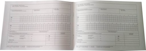 Табель учета рабочего времени водителя KONTROLLBUCH GERMANY