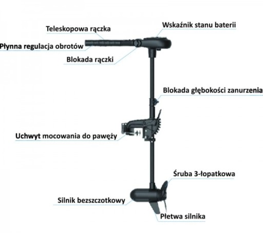 Silnik elektyczny Haswing Protruar 65 lbs 1.0