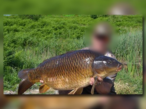 СТУЛ С СУМКОЙ 30/38/65 МИСТРАЛЛ