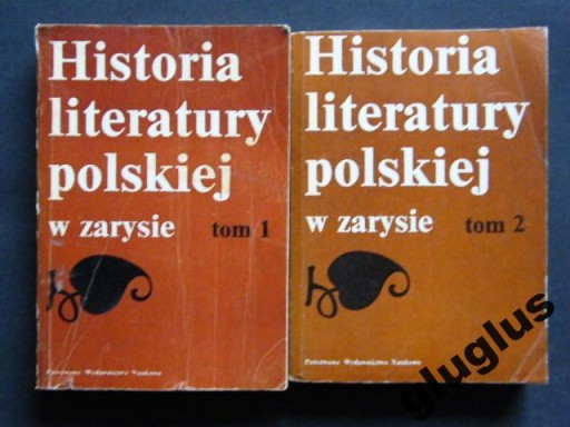 Historia literatury polskiej w zarysie Wilkon