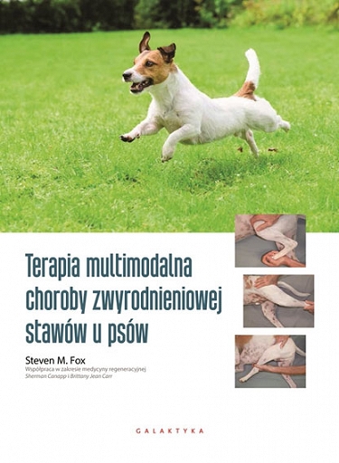 Terapia multimodalna choroby zwyrodnieniowej stawó