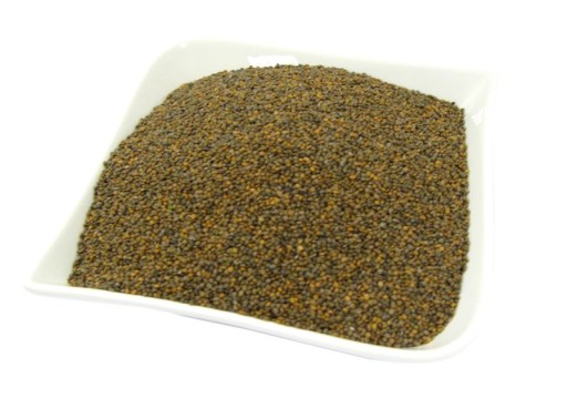 RUKOLA ( rokietta ) nasiona na Kiełki 100g
