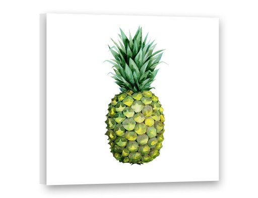 Obrazy na płótnie 50x50 Obraz Nowoczesny ANANAS