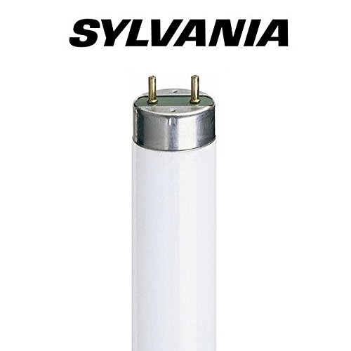 40W/60CM ŚWIETLÓWKA UV-A OWADOBÓJCZA SYLVANIA