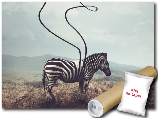 FOTOTAPETA FAUNA ZEBRA 12C FXL 208x146 F11754