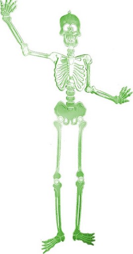 SZKIELET FOSFORYZUJĄCY 90 cm świecący na HALLOWEEN