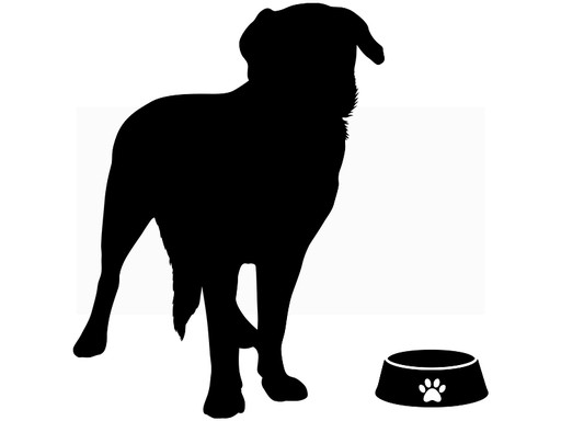 Naklejka ścienna na ścianę PIES piesek do salonu sypialni Labrador 50 cm