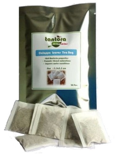 TANTORA Cattapa Tea Bags 1szt - e-krewetki