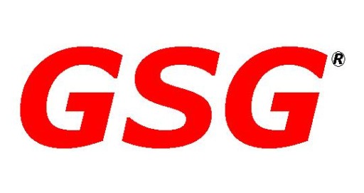 Renault CLIO 3 4 SPORT f1