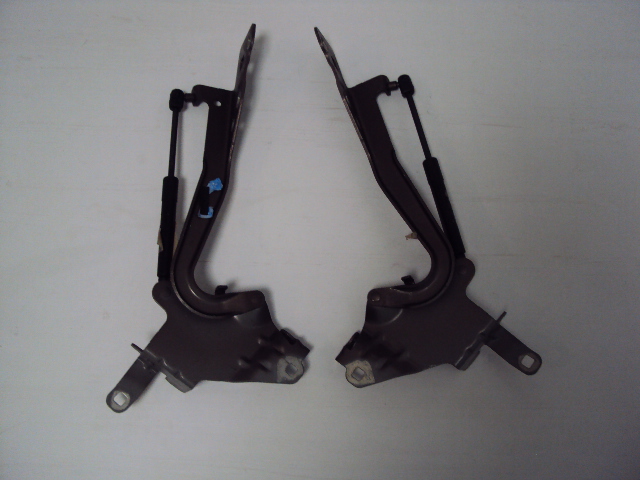 HINGES HOOD RENAULT SCENIC III photo 1 - milautoparts-fr.ukrlive.com