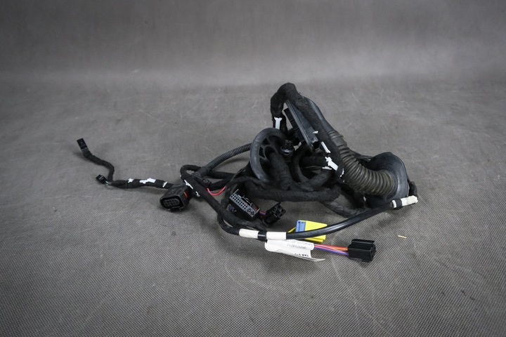 WIRE ASSEMBLY ELECTRICAL DOOR AUDI Q5 8R 8R0971029J photo 1 - milautoparts-fr.ukrlive.com