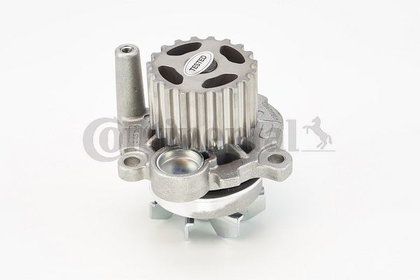 TUNING GEAR FROM PUMP CONTINENTAL AUDI 2,0TDI CT1134WP1 photo 3 - milautoparts-fr.ukrlive.com