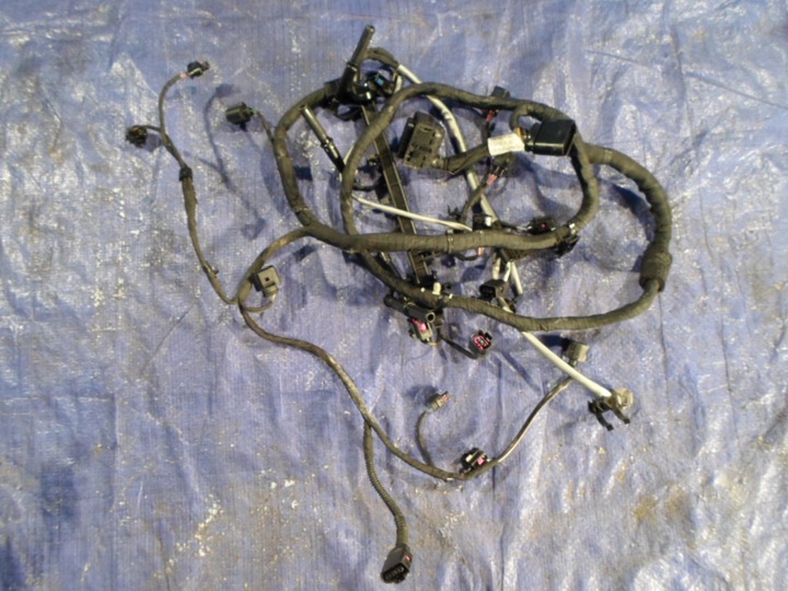 фото №1, Vw audi seat 2.0 tdi джгут двигуна 03l972619bg