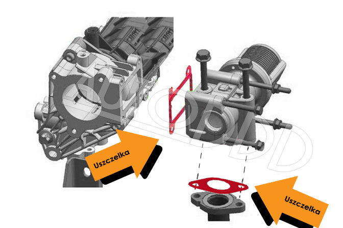 фото №5, 4 прокладка egr alfa fiat lancia opel 1.9 2.4 jtdm