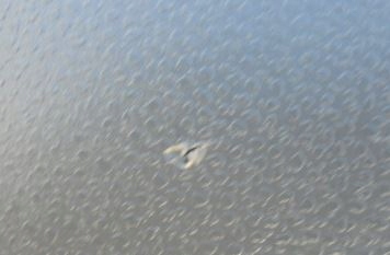 фото №5, Vw polo 9n консоль панель приладів подушка безпеки водій пасажир