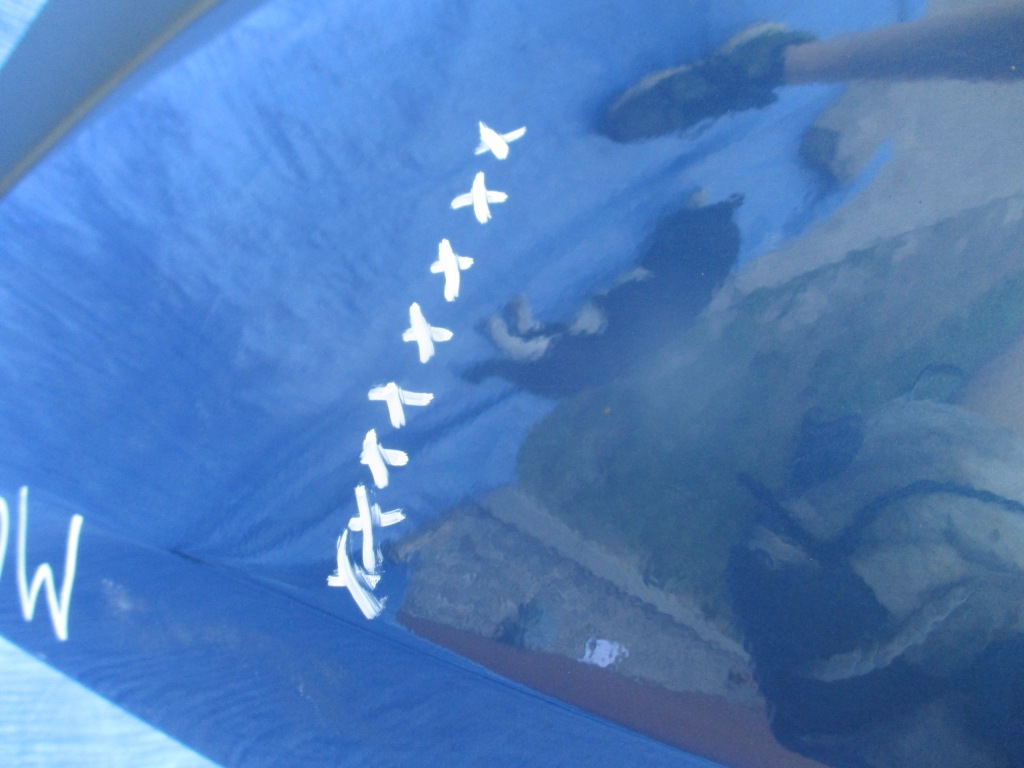 фото №6, Bmw x5 e53 m набір бампер задній задня